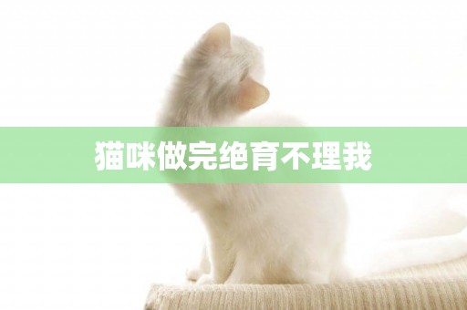 貓咪做完絕育不理我