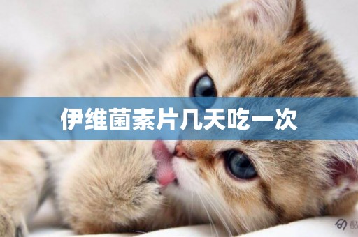 伊維菌素片幾天吃一次