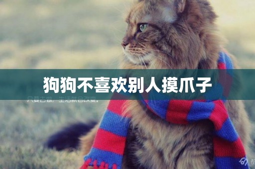 狗狗不喜歡別人摸爪子