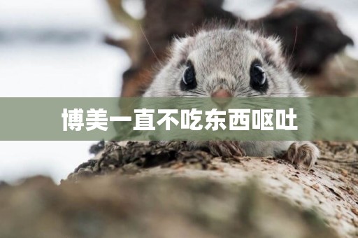 博美一直不吃東西嘔吐