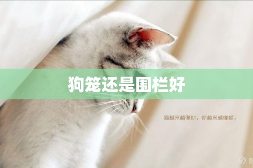 狗籠還是圍欄好