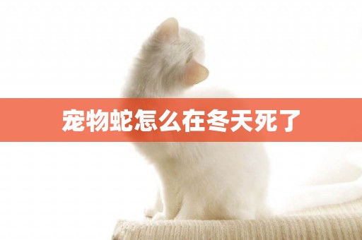 寵物蛇怎么在冬天死了