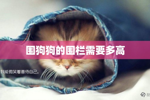 圍狗狗的圍欄需要多高