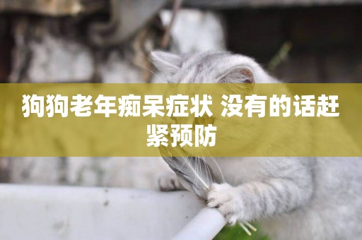 狗狗老年癡呆癥狀 沒有的話趕緊預防