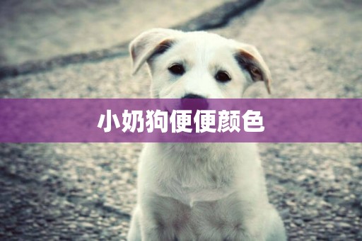 小奶狗便便顏色
