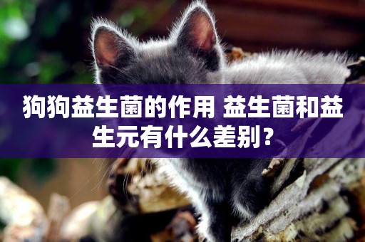 狗狗益生菌的作用 益生菌和益生元有什么差別？