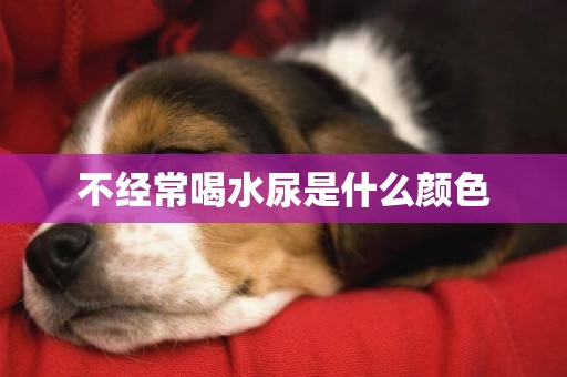 不經常喝水尿是什么顏色