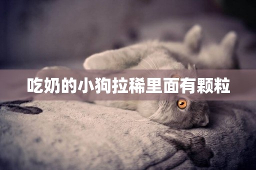 吃奶的小狗拉稀里面有顆粒