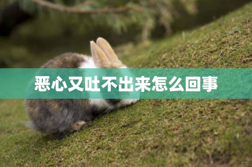 惡心又吐不出來怎么回事