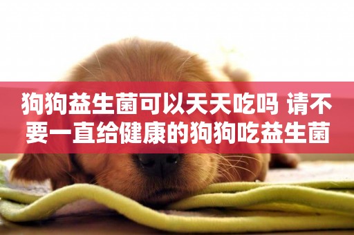 狗狗益生菌可以天天吃嗎 請不要一直給健康的狗狗吃益生菌