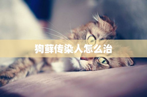 狗蘚傳染人怎么治