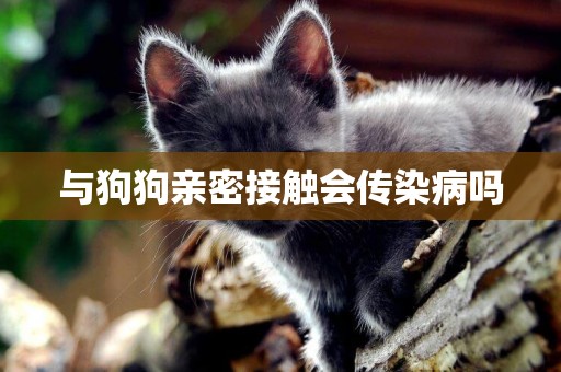 與狗狗親密接觸會傳染病嗎