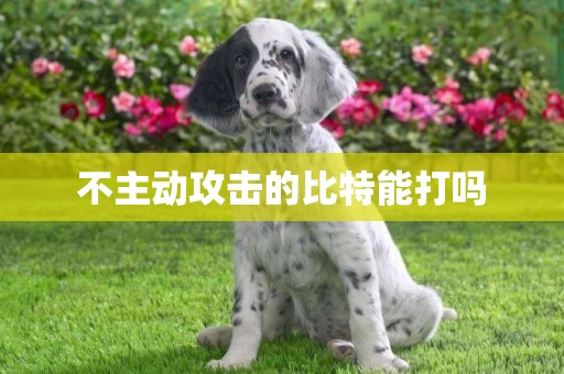 不主動攻擊的比特能打嗎