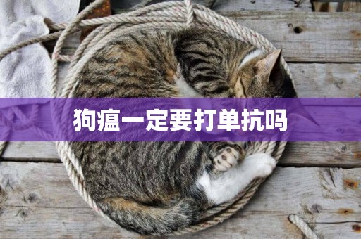 狗瘟一定要打單抗嗎