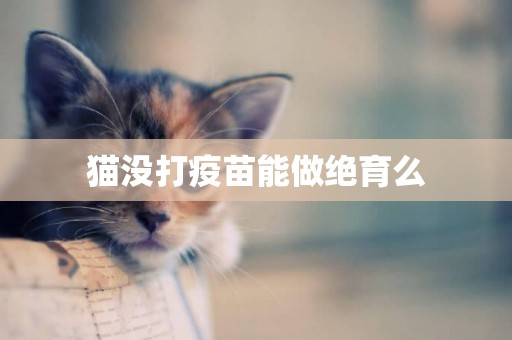貓沒打疫苗能做絕育么
