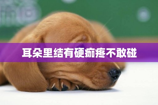 耳朵里結有硬痂疼不敢碰
