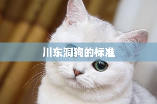 川東洞狗的標準