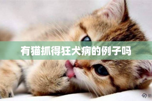 有貓抓得狂犬病的例子嗎