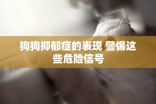 狗狗抑郁癥的表現 警惕這些危險信號