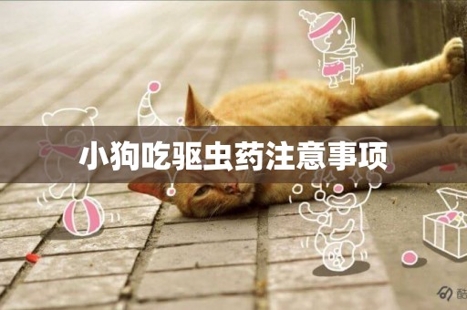 小狗吃驅蟲藥注意事項