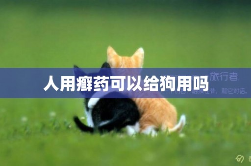 人用癬藥可以給狗用嗎