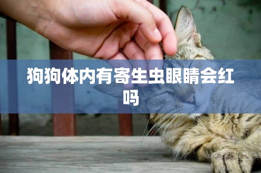 狗狗體內有寄生蟲眼睛會紅嗎
