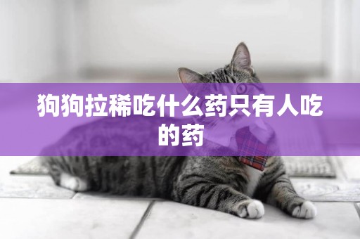 狗狗拉稀吃什么藥只有人吃的藥
