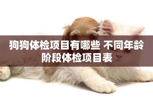 狗狗體檢項目有哪些 不同年齡階段體檢項目表