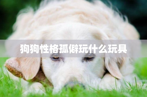 狗狗性格孤僻玩什么玩具