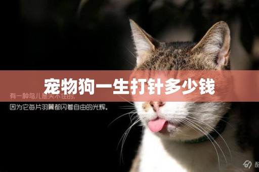 寵物狗一生打針多少錢