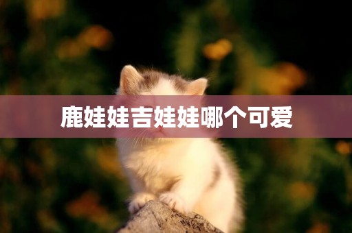 鹿娃娃吉娃娃哪個可愛