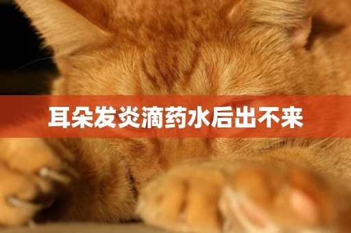 耳朵發炎滴藥水后出不來