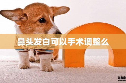 鼻頭發白可以手術調整么