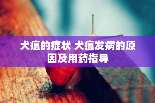 犬瘟的癥狀 犬瘟發病的原因及用藥指導