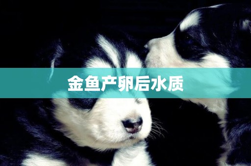 金魚產卵后水質