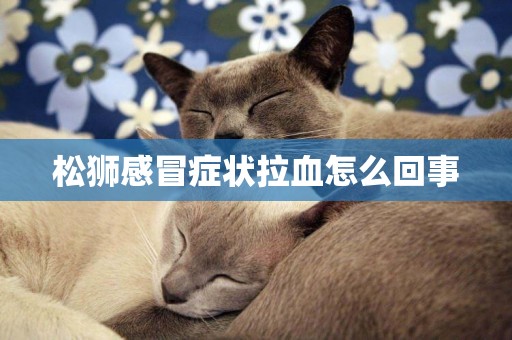 松獅感冒癥狀拉血怎么回事