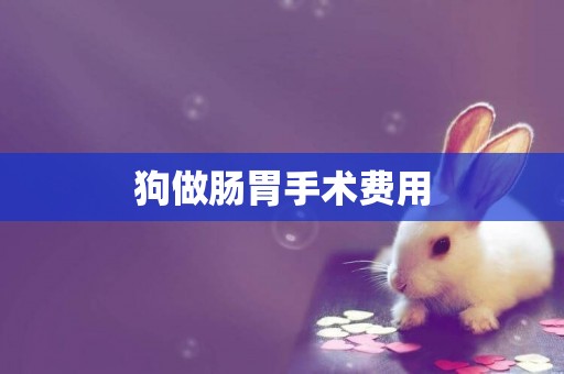 狗做腸胃手術費用