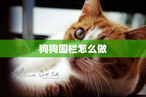 狗狗圍欄怎么做