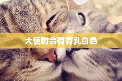 大便時會有有乳白色