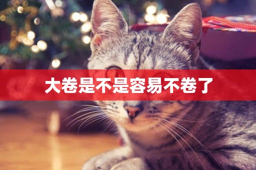 大卷是不是容易不卷了