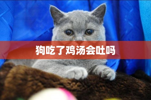 狗吃了雞湯會吐嗎