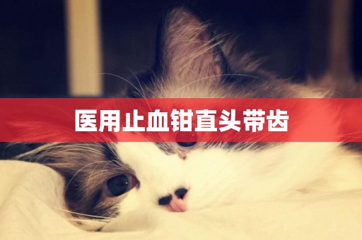 醫用止血鉗直頭帶齒