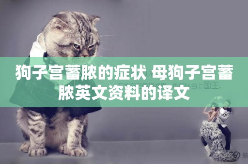 狗子宮蓄膿的癥狀 母狗子宮蓄膿英文資料的譯文