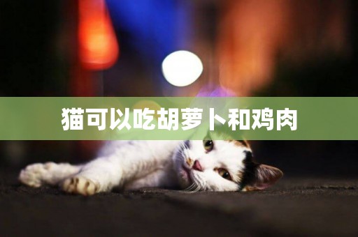 貓可以吃胡蘿卜和雞肉