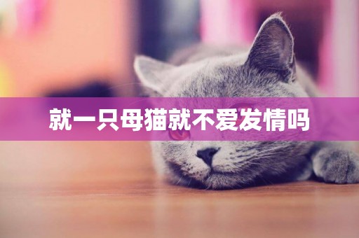 就一只母貓就不愛發情嗎