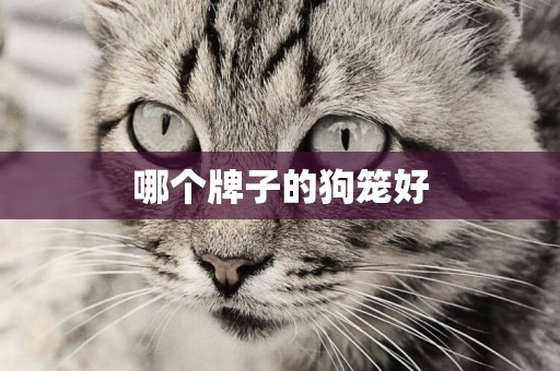 哪個牌子的狗籠好