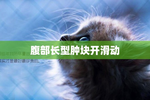腹部長型腫塊開滑動