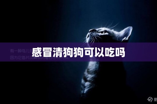感冒清狗狗可以吃嗎