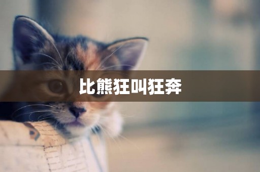 比熊狂叫狂奔