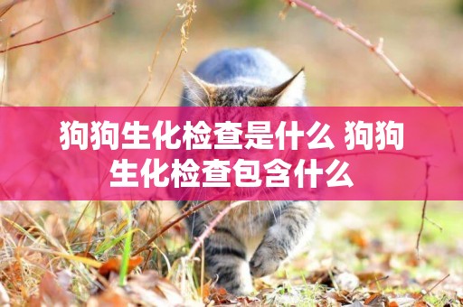 狗狗生化檢查是什么 狗狗生化檢查包含什么